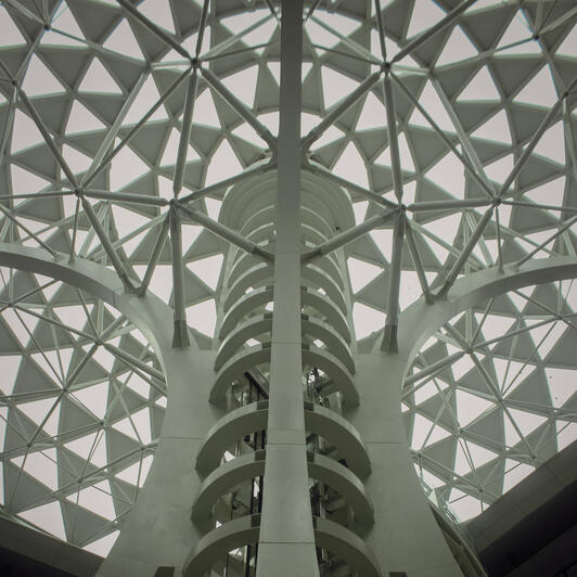 TREE OF LIFE