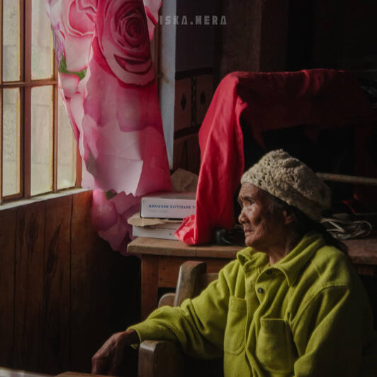 APO BY THE WINDOW